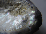  DSCN5852 (700x525, 368Kb)