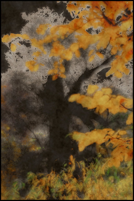 OS_XIII (467x700, 112Kb)