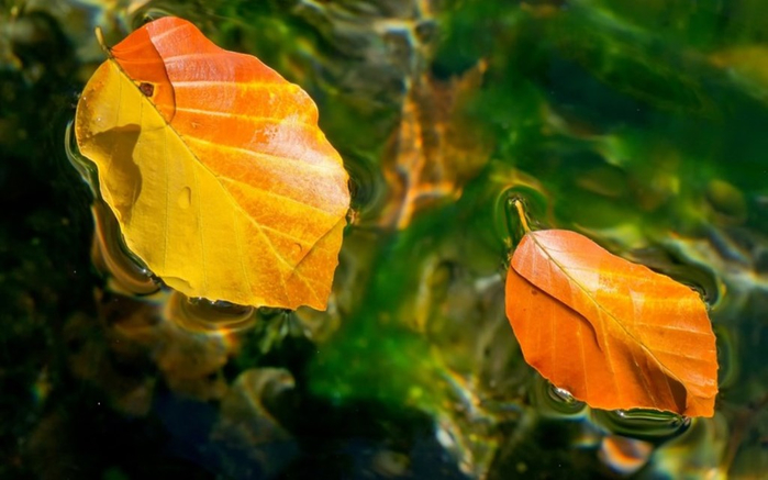 10 (700x437, 290Kb)