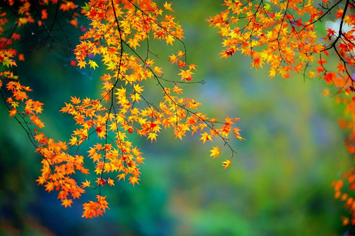 12 (700x465, 443Kb)