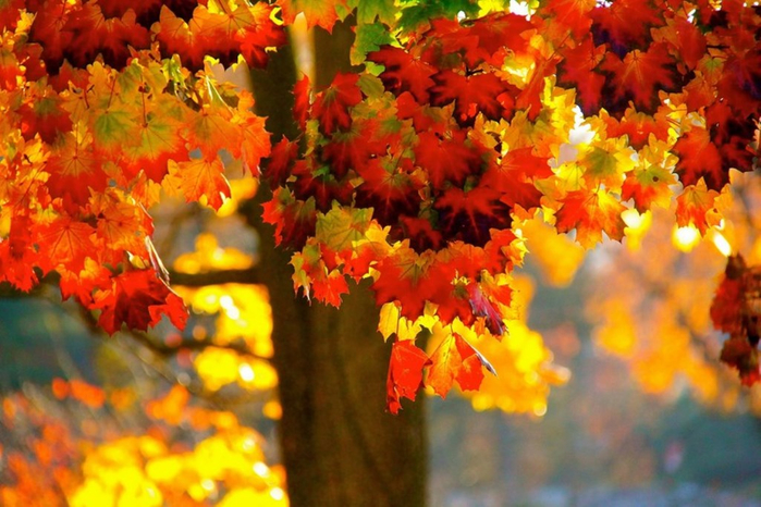 16 (700x466, 415Kb)