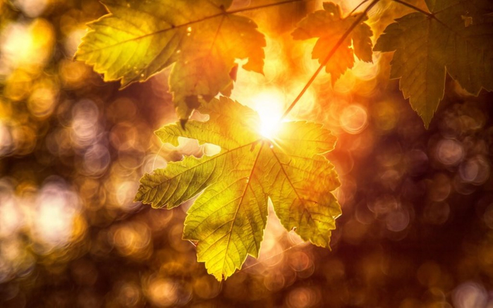 18 (700x437, 296Kb)