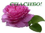   (150x113, 26Kb)