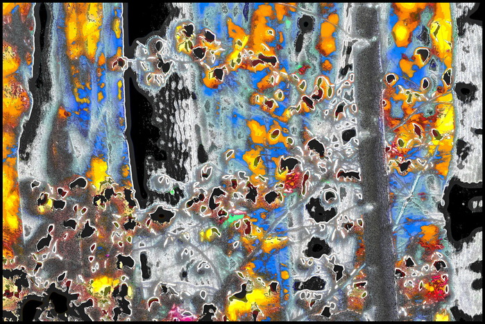 OS_XXA (700x467, 232Kb)