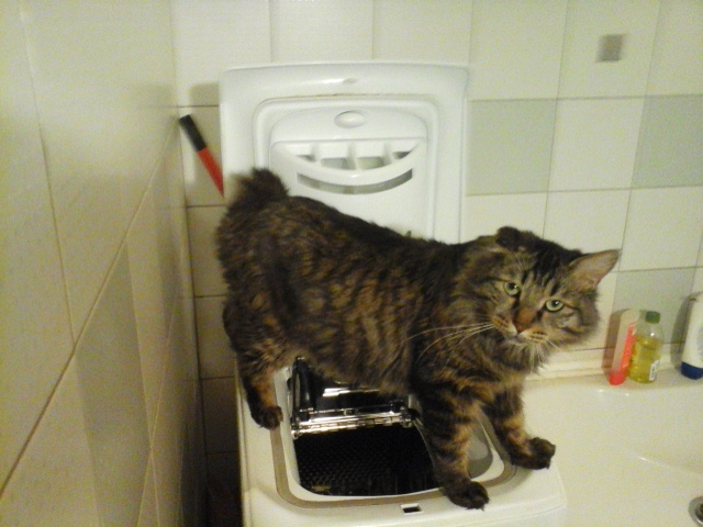20140905_003725 (640x480, 129Kb)