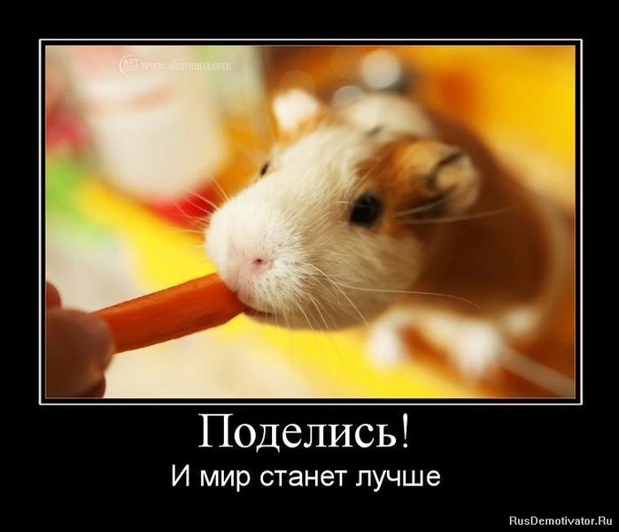 1275900208_817235_podelis (700x601, 45Kb)