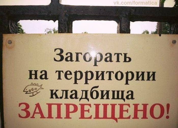 4807239_image_40 (700x505, 64Kb)