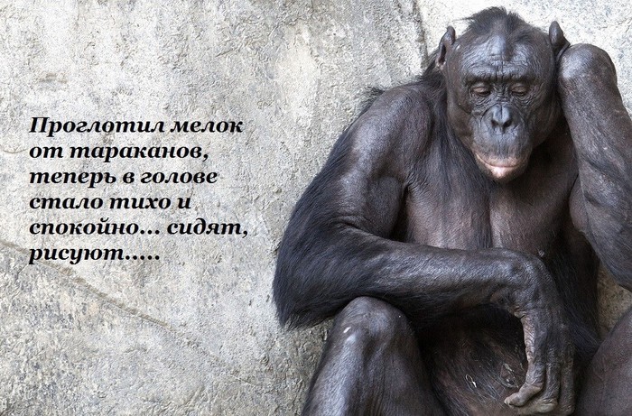 4807239_image_62 (700x461, 145Kb)