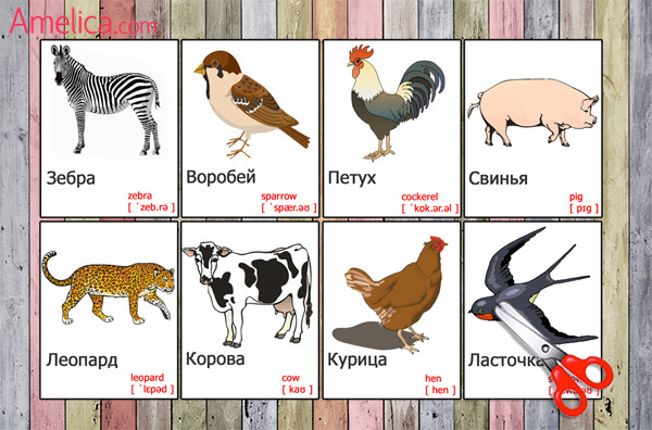 картинки животных для английского языка