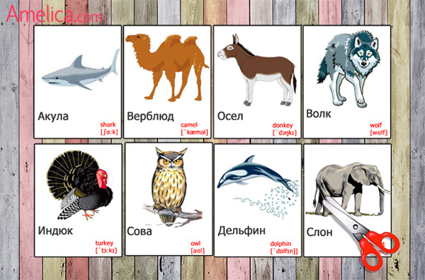 Сова по немецки. Животные на английском. Животные на английском для детей. Карточки животные на английском. Карточки животные на английском языке для детей.