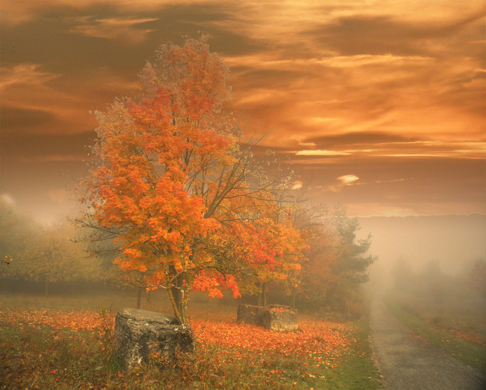picturecontent-pid-4b93f-et-d479268 (700x561, 494Kb)