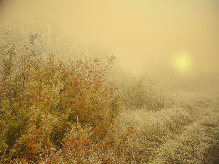 picturecontent-pid-4b659-et-d422d01 (700x525, 453Kb)