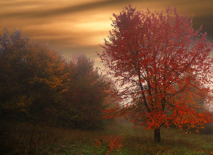 picturecontent-pid-5f86b-et-10696340 (700x508, 525Kb)