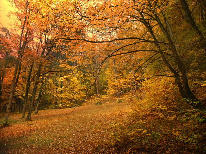 picturecontent-pid-58bb7-et-f14e8c4 (700x525, 644Kb)