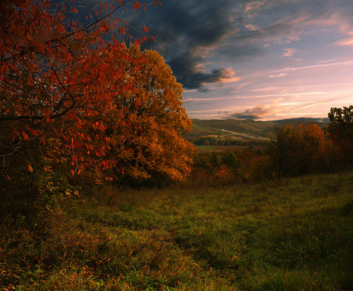 picturecontent-pid-600c0-et-10852eef (700x576, 642Kb)