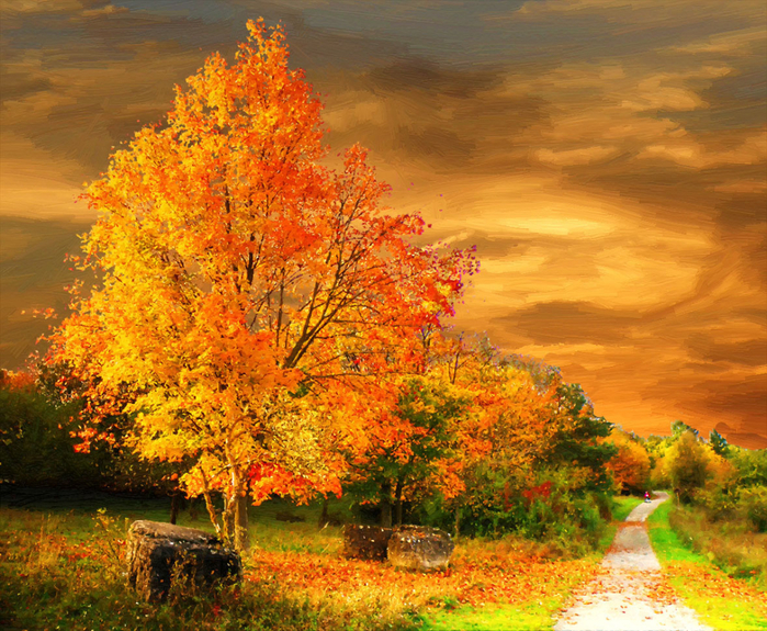 picturecontent-pid-6766a-et-125376bd (700x575, 656Kb)