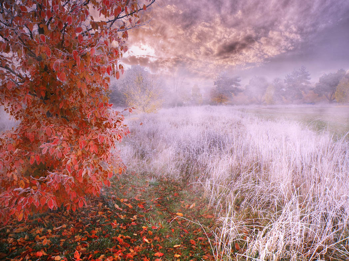 picturecontent-pid-59381-et-f28bd99 (700x525, 587Kb)