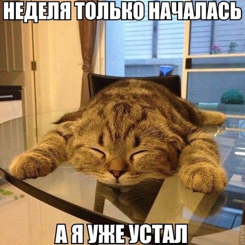  (480x480, 88Kb)