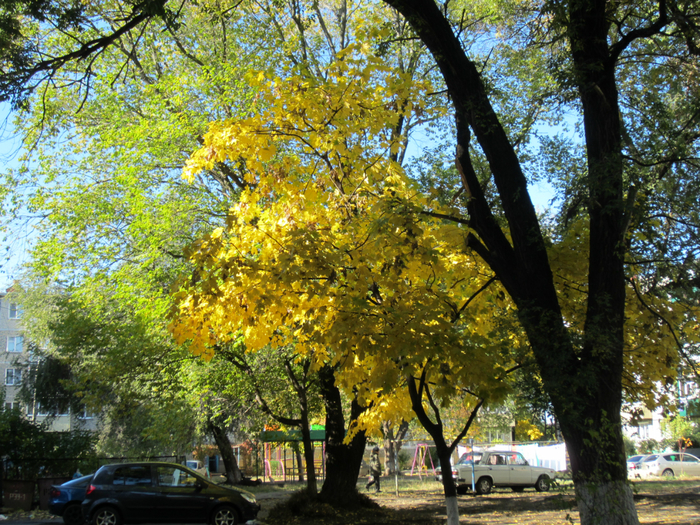 IMG_0376 (700x525, 700Kb)