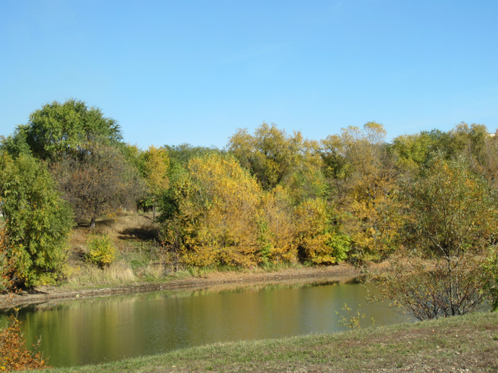 IMG_0384 (700x525, 494Kb)