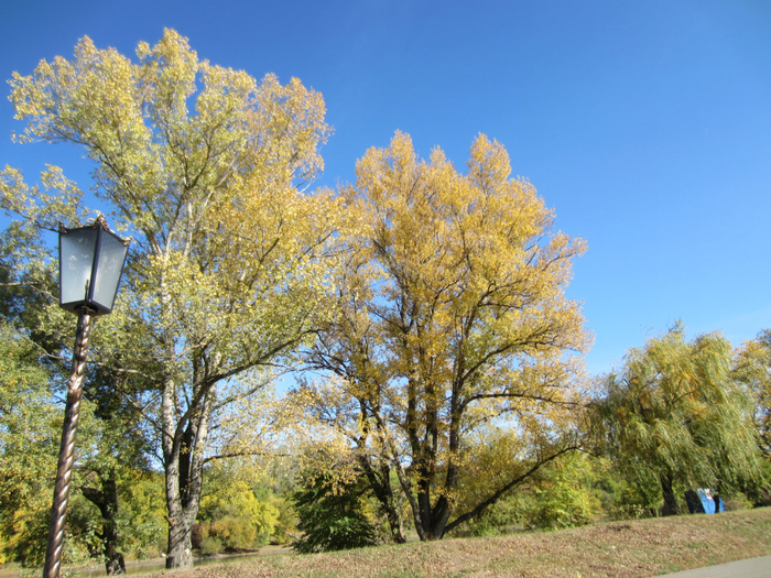 IMG_0389 (700x525, 593Kb)