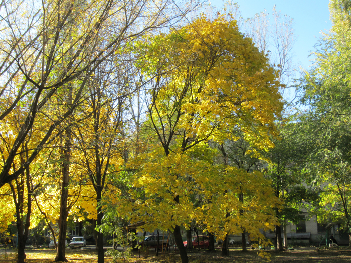 IMG_0414 (700x525, 728Kb)