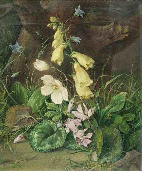 franz-xaver-petter-wildflowers-at-the-base-of-a-1415284747_org (476x570, 284Kb)
