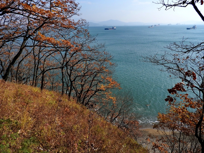 5559494_DSCN9570 (700x525, 382Kb)