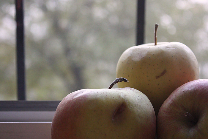 4052195_IMG_39842 (700x466, 319Kb)