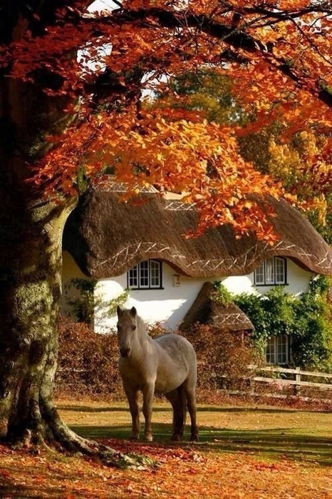 PINOhh1Y69w (466x700, 310Kb)