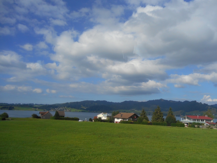 4878453_sh_1447 (700x525, 216Kb)