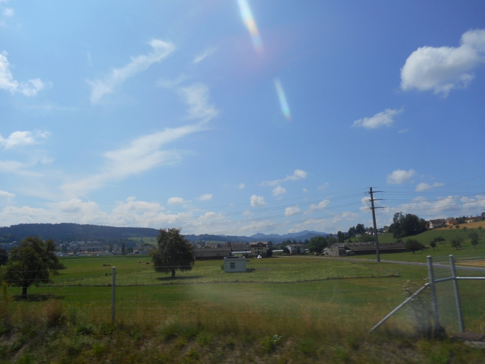4878453_sh_790 (700x525, 205Kb)