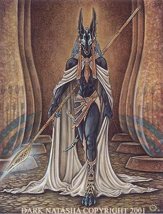 Anubis_fan_art_picture_image_NQFwlpluYF (534x700, 446Kb)