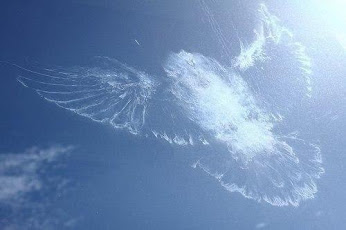 5680772_30_10_15__1 (346x230, 17Kb)