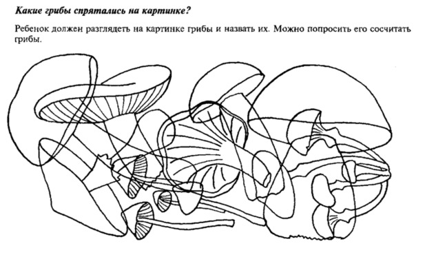 Зашумленные картинки для детей 5 6 лет