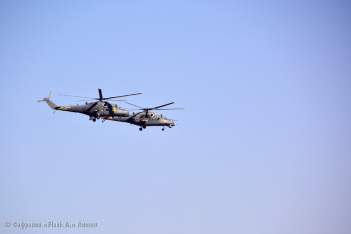 DSC_3881 копия (700x466, 215Kb)