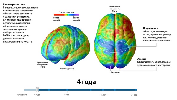 Картинки для развития 2 полушарий мозга