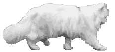 2-x-pwalk (232x106, 37Kb)