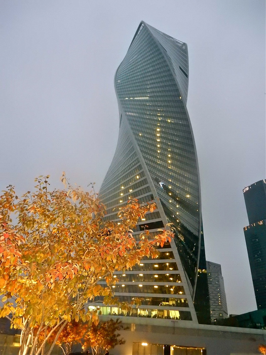 DSCN6472 (525x700, 199Kb)