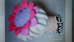  DSCN2528 (700x393, 300Kb)