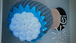  DSCN2539 (700x393, 359Kb)