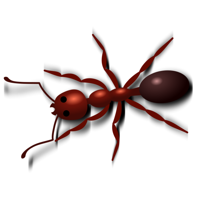 mravlja (500x500, 108Kb)