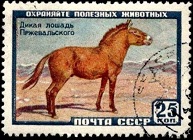 YtSU 2180 1?8 Wild Horse Przewalski  ?(193x140, 27Kb)