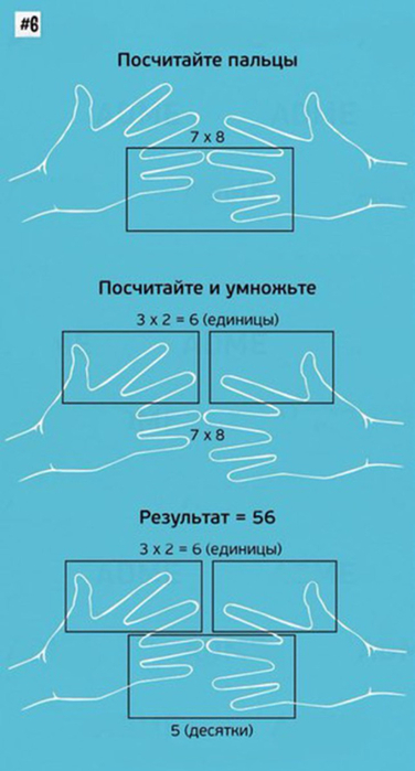 7 (376x700, 207Kb)
