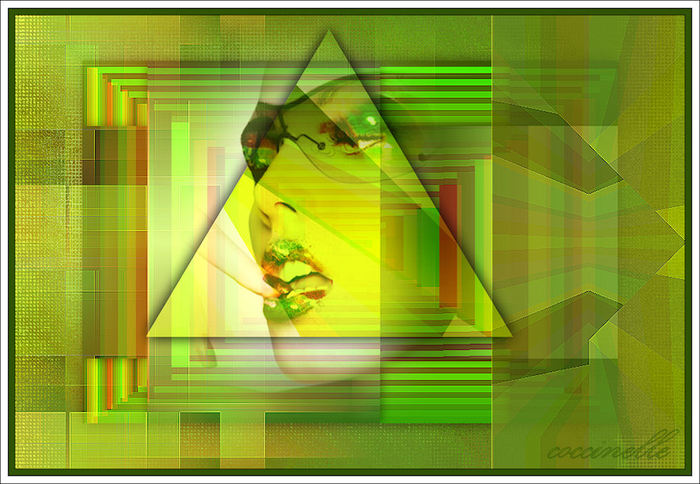 coccinelle (700x484, 83Kb)