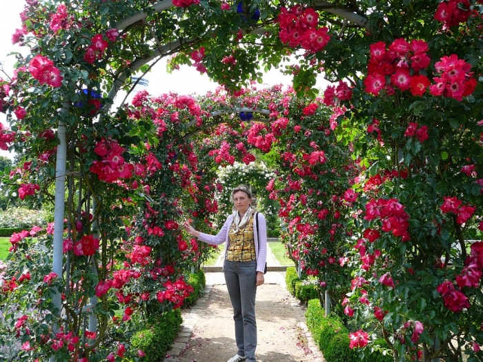 rosarium_hamburg_008 (700x525, 489Kb)