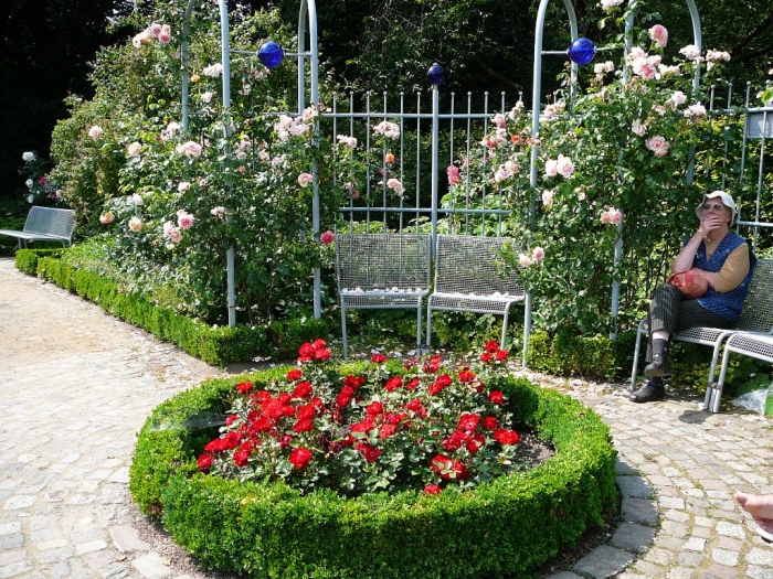 rosarium_hamburg_012 (700x525, 481Kb)