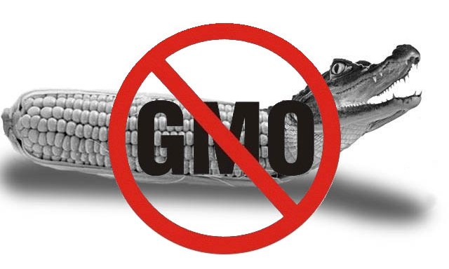2757491_gmo (640x384, 48Kb)