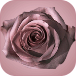 4451564_avatar_liru_150_na_150_lu4iik_13 (150x150, 15Kb)