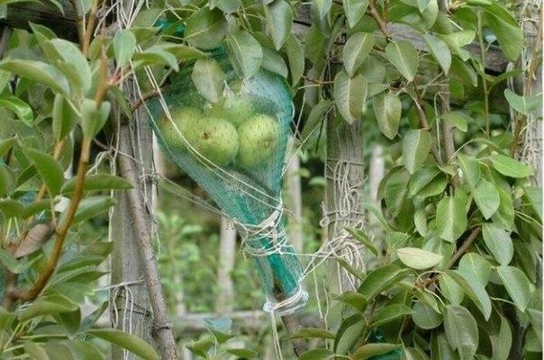 OYGKSayyCnY (604x400, 57Kb)